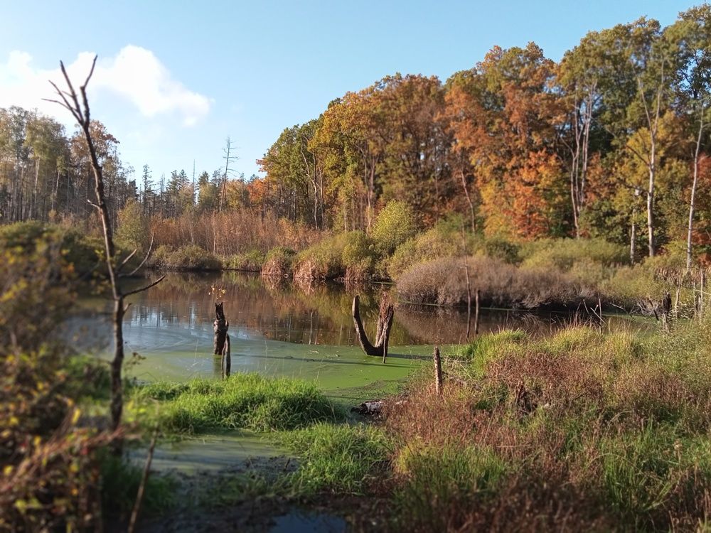 Photograph by Tereza Gaiduchok