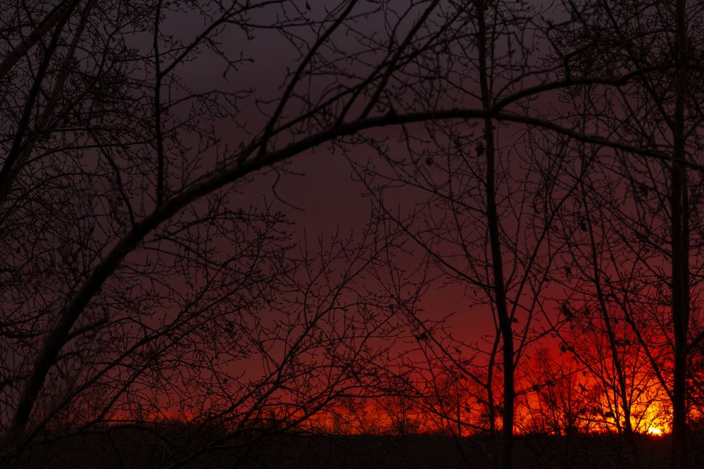 Photograph by Игорь Кутний