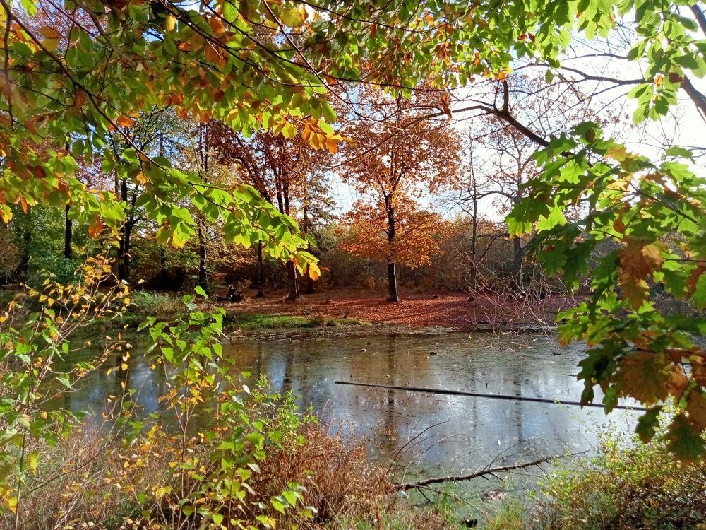 Photograph by Tereza Gaiduchok