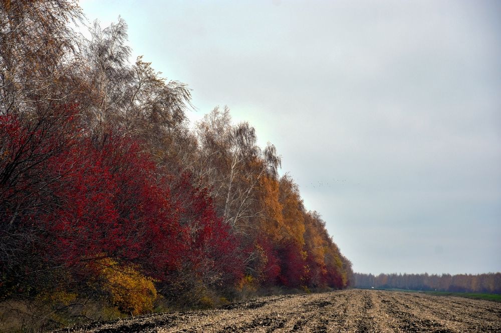 Photograph by Валерий Гудков