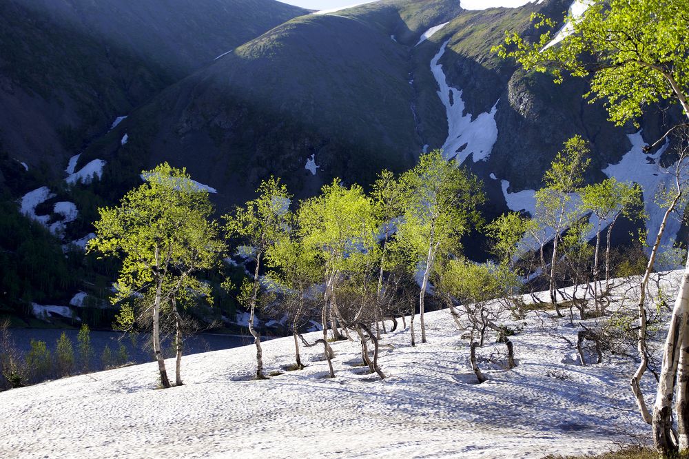 Photograph by Alexey Vladimirovich