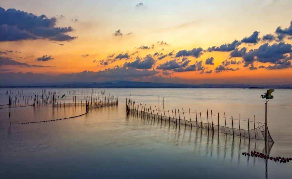 Photograph by Lavskaya Elena