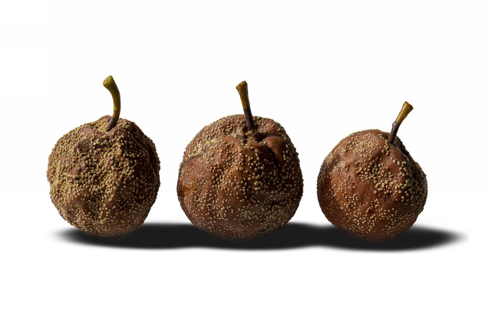 Photograph by Игорь Кутний