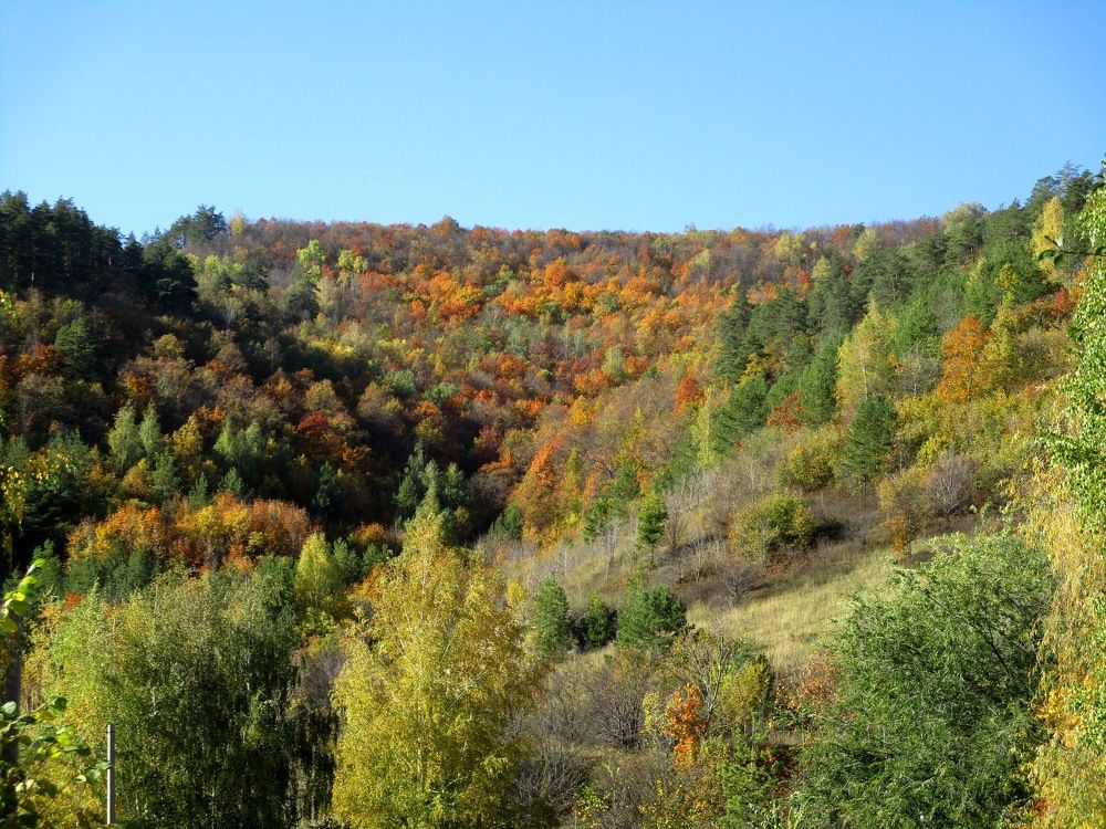 Photograph by Татьяна Иваненкова