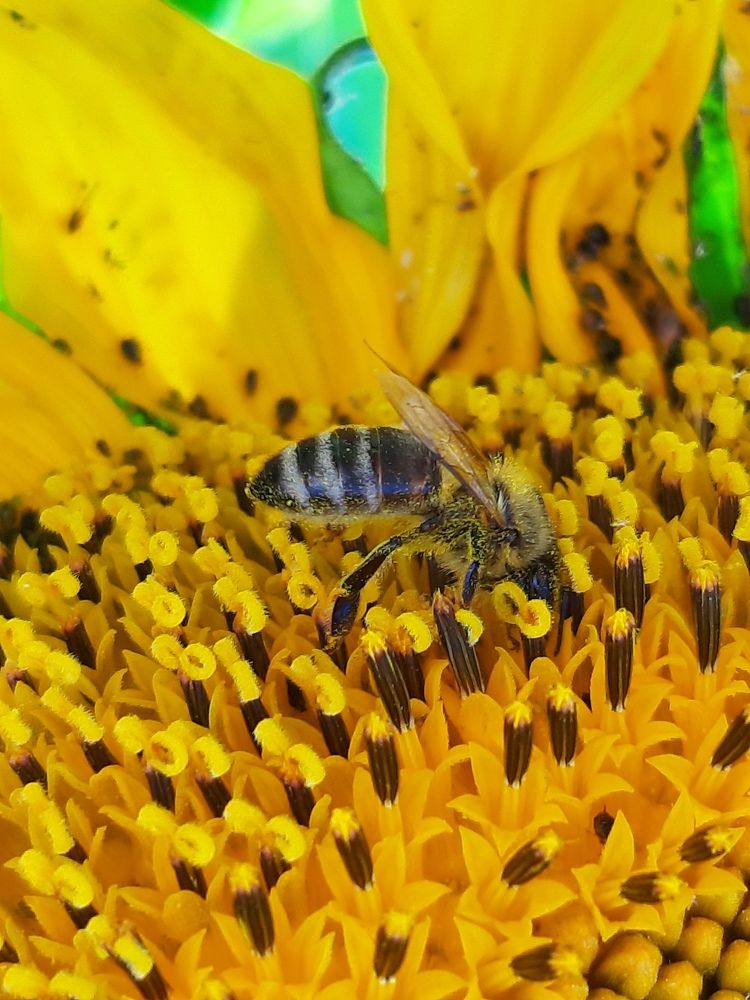 Photograph by Вера Боржеева