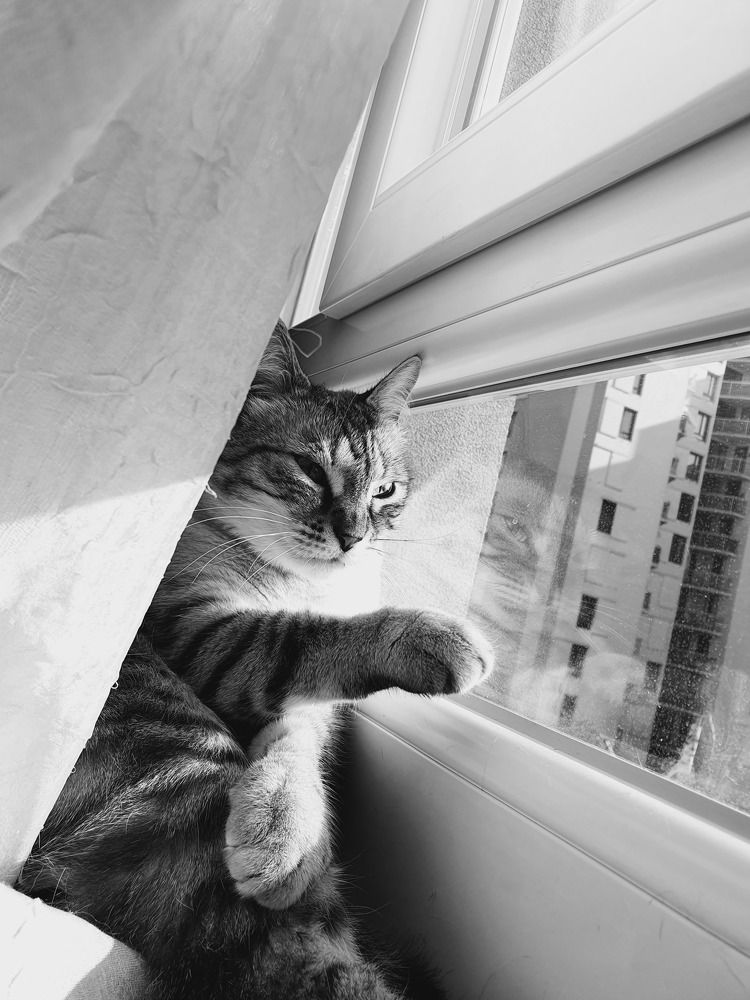 Photograph by Jeanpierre Gueninchault