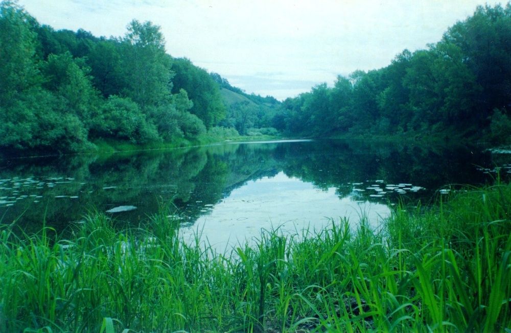 Photograph by Татьяна Иваненкова