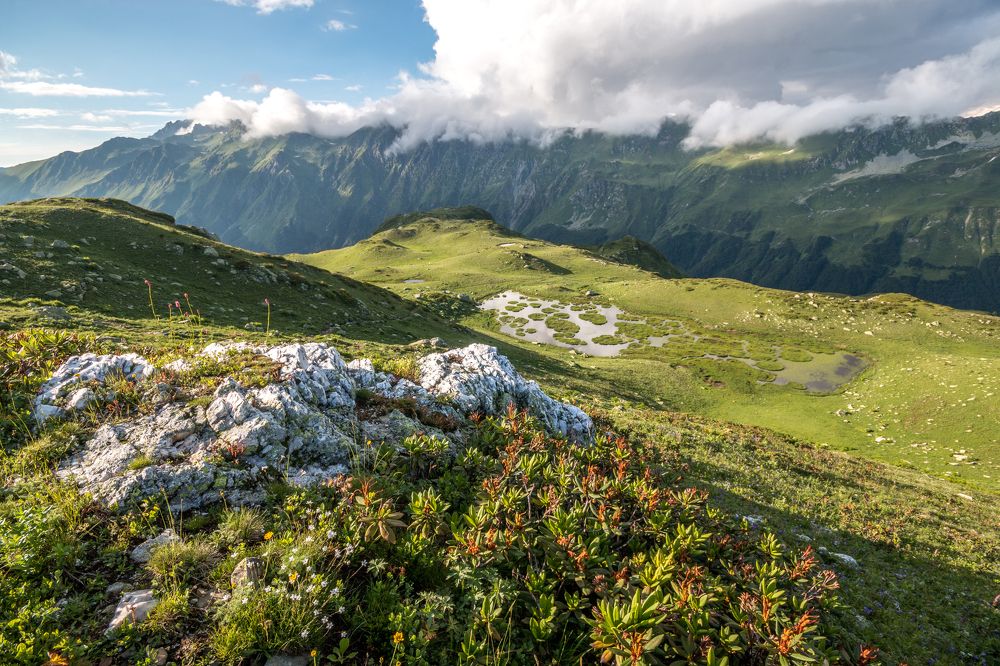 Photograph by Nikita Frolkin