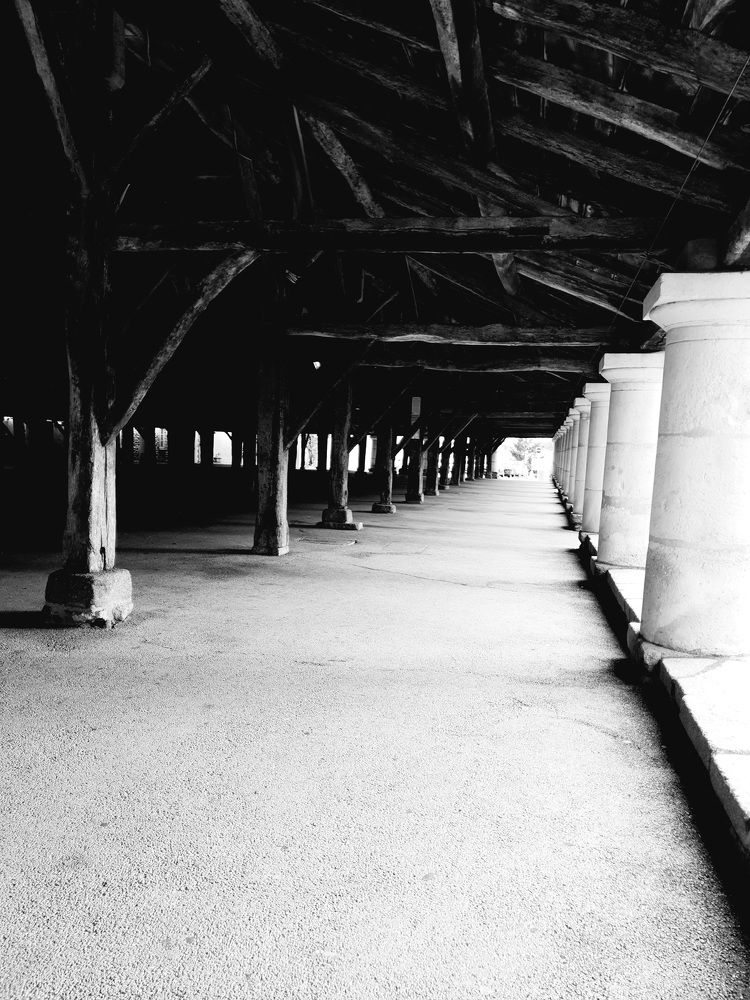 Photograph by Jeanpierre Gueninchault