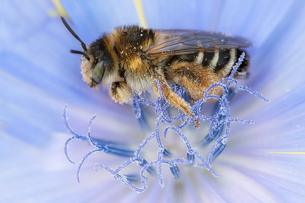 Photograph by Кузнецов Дмитрий