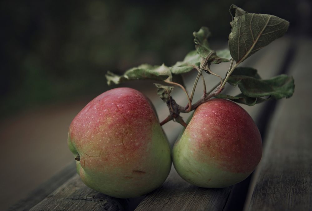 Photograph by Елена Майфет