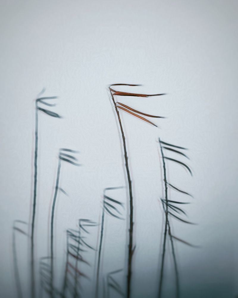 Photograph by Марина Урусова