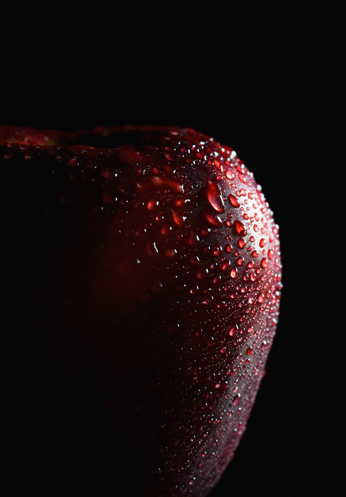 Photograph by Анастасия Чушкова