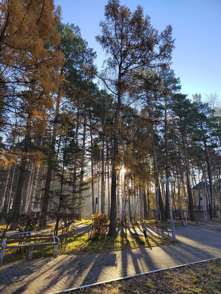 Photograph by Елена Аверьянова