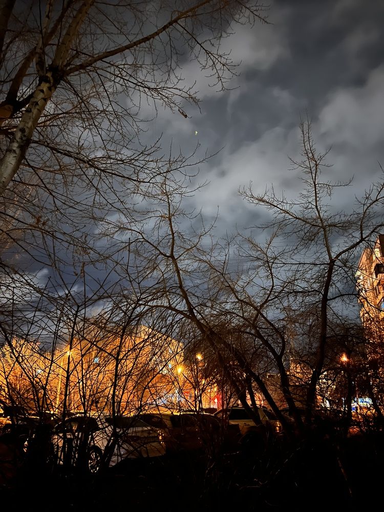 Photograph by Ольга