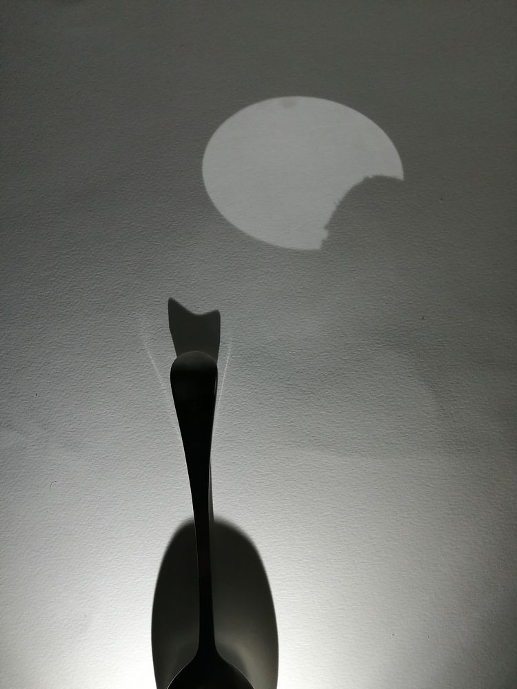 Кот на крыше