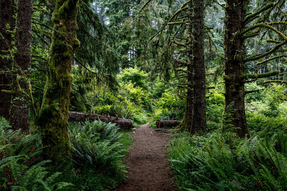 Фотография автора Angela Miller