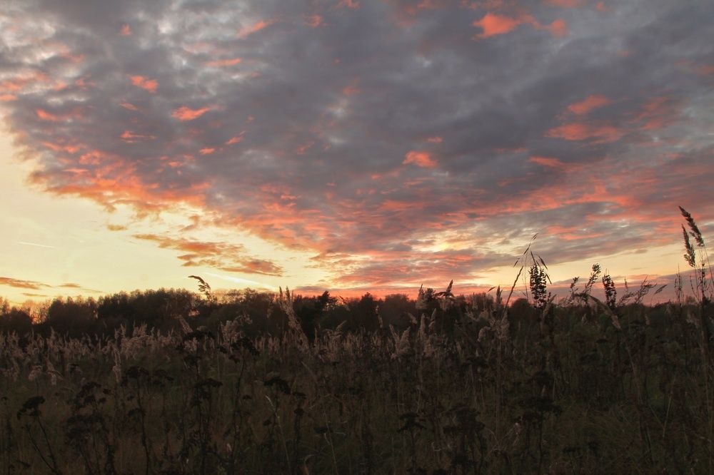 Photograph by Виктория Хмара