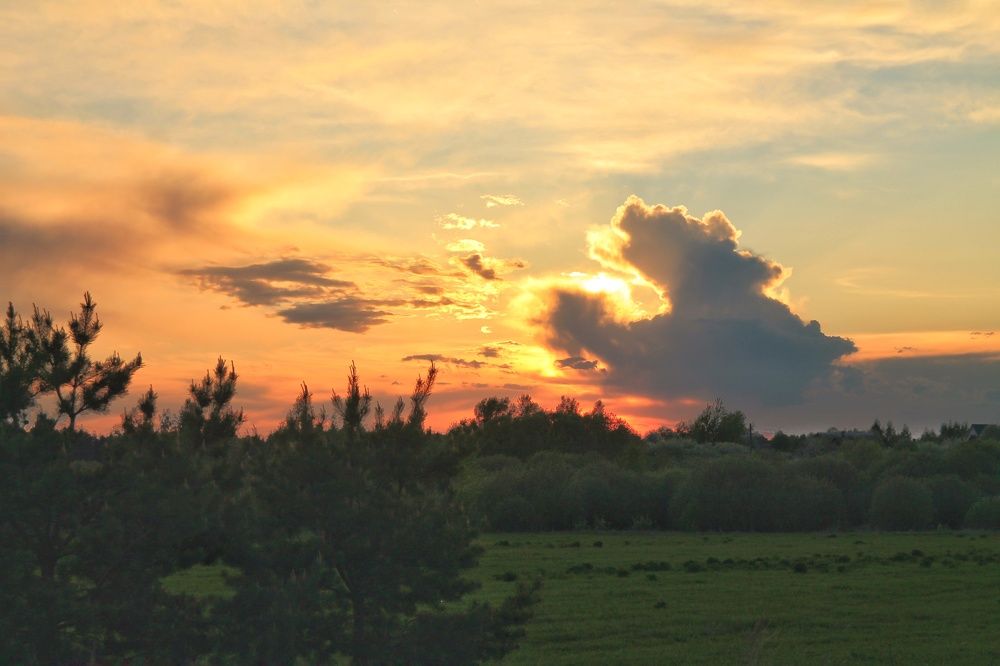 Photograph by Виктория Хмара