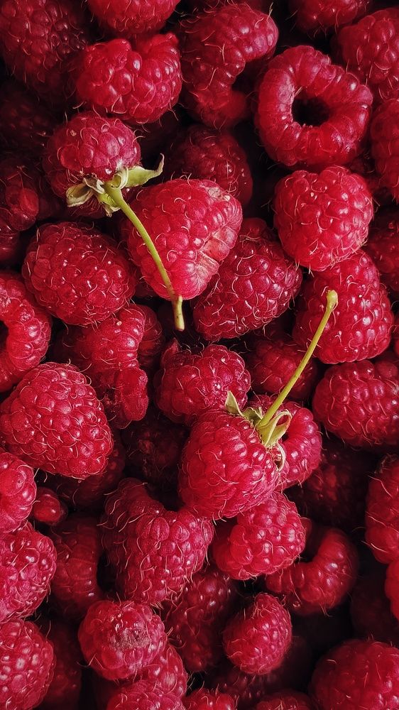 Photograph by Анна Пилипенко