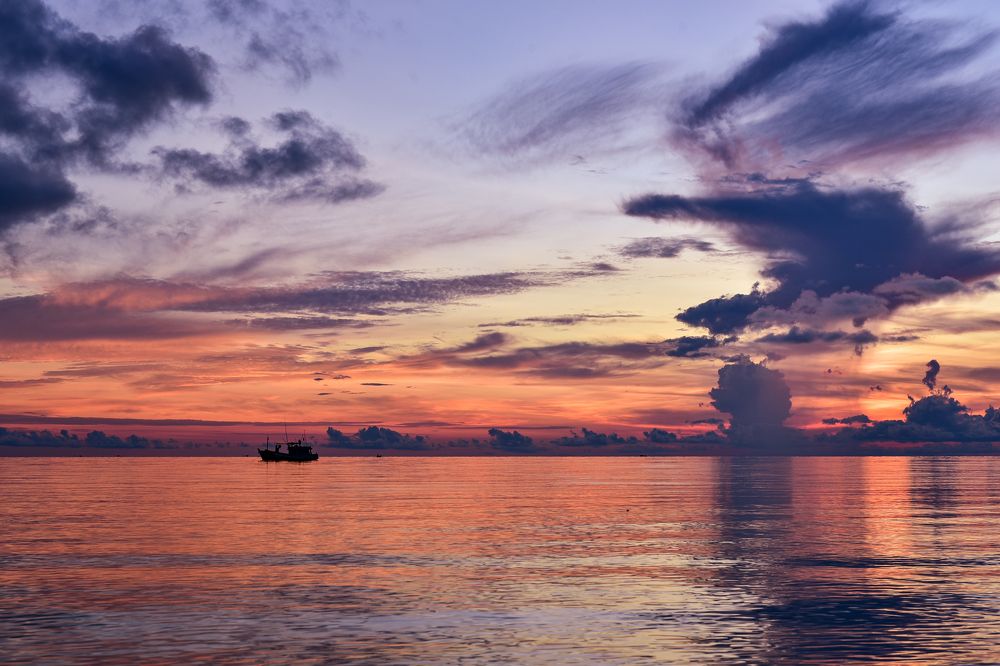 Photograph by Long Nguyen