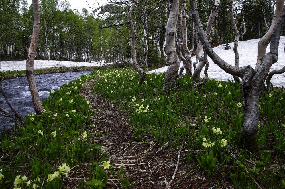Photograph by Alexey Vladimirovich