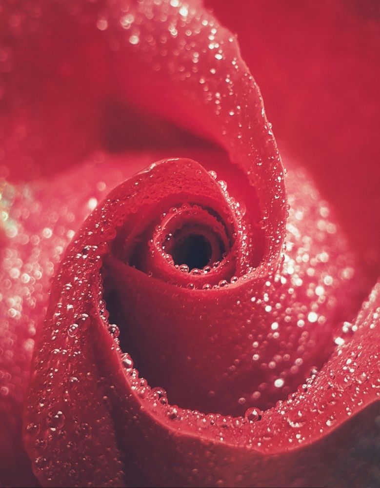 Photograph by NGUYEN LIEN