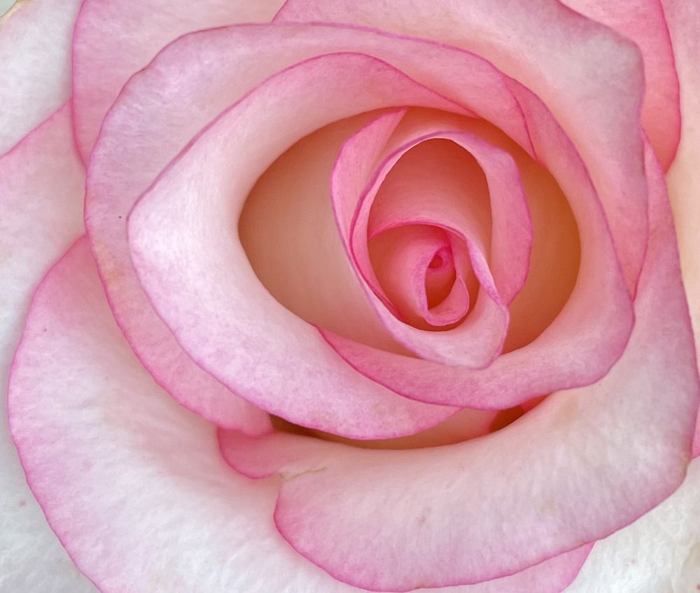 Photograph by Татьяна