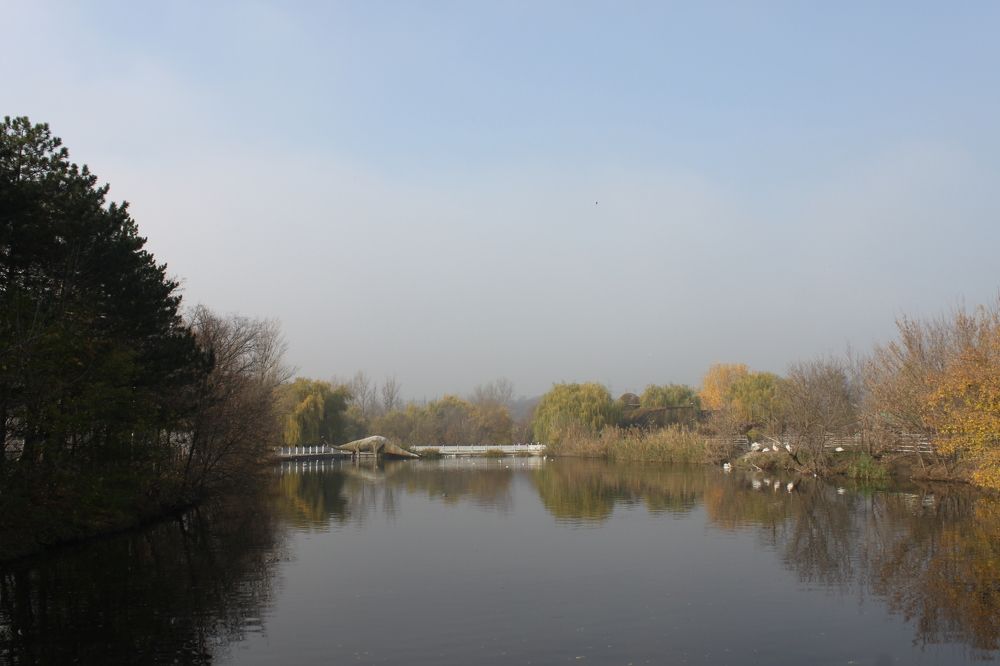 Photograph by Ольга Лесняк