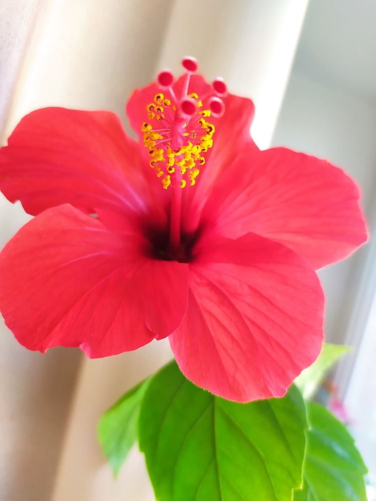 Photograph by Татьяна Клемба