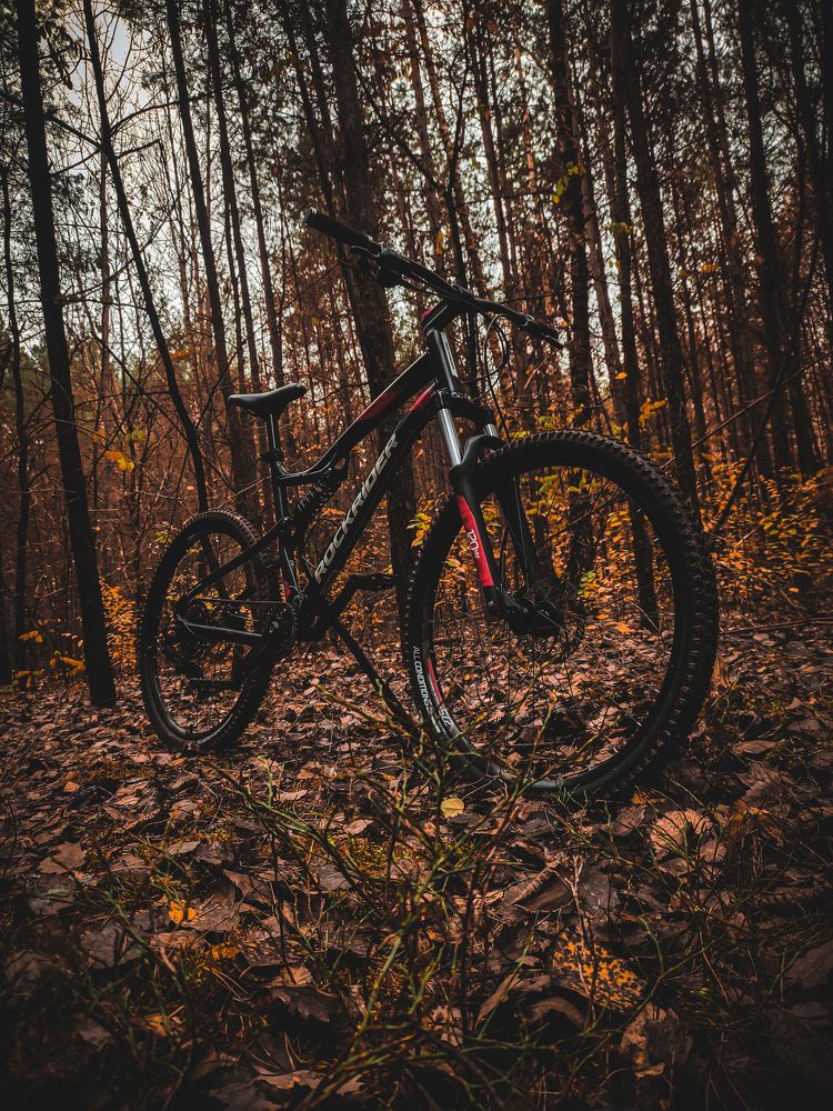 Bicycle in the autumn forest