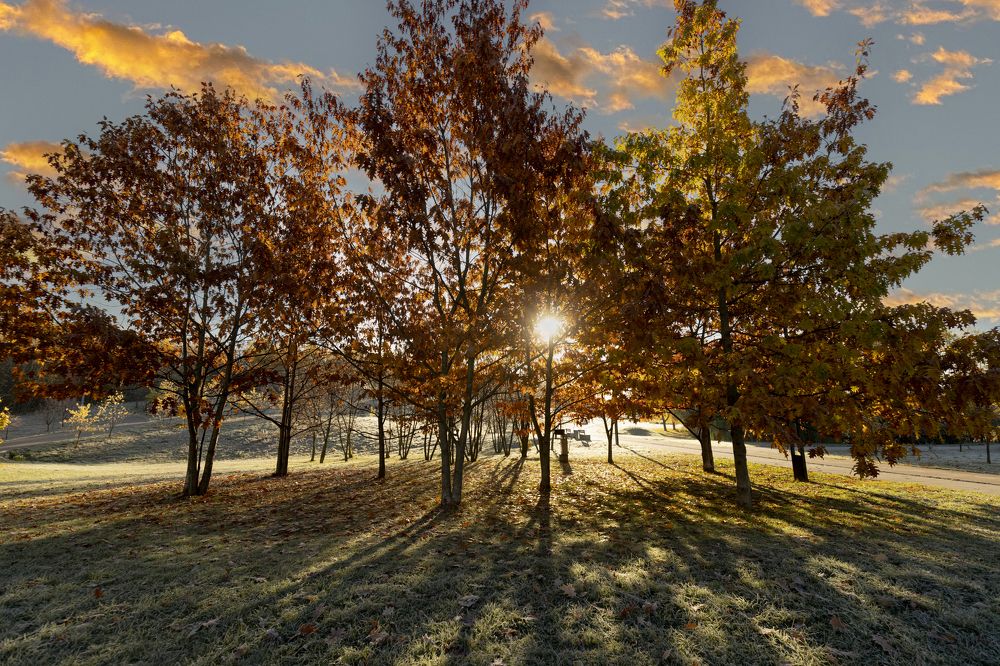 Photograph by Александр Евстигнеев