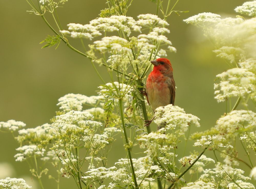 Photograph by VictОr