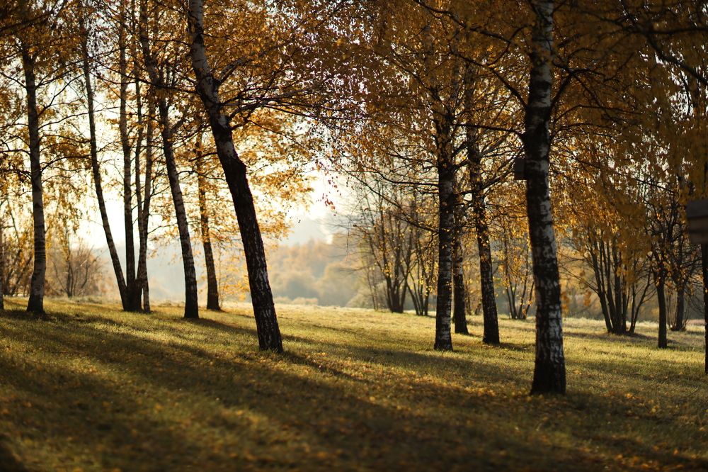 Photograph by Александр Евстигнеев