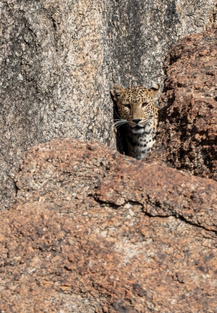 Photograph by Satirtha Ghosh