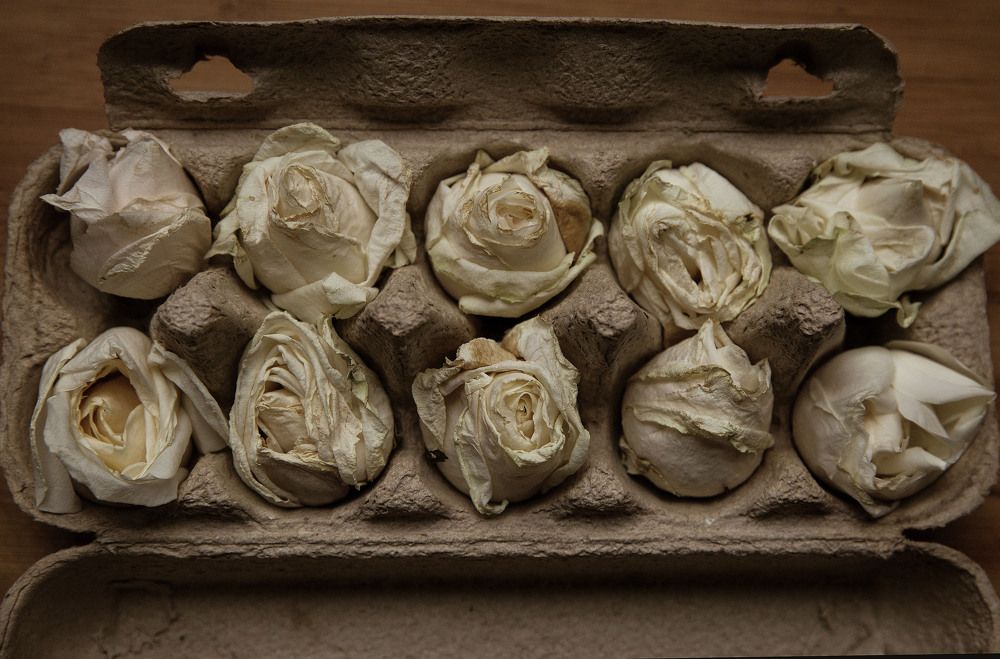 Photograph by Ира Солощ