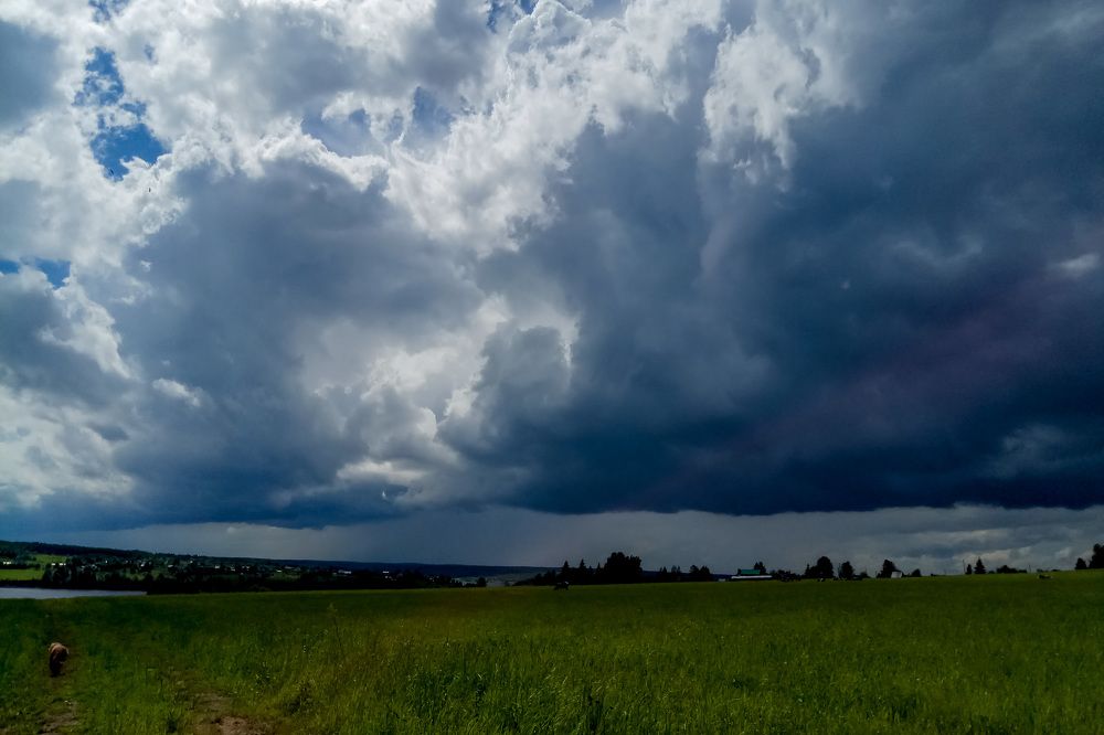 Photograph by Юлия Трап