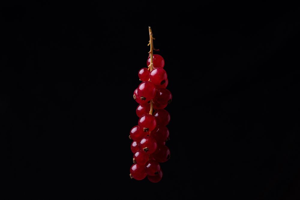 Photograph by Oleg Ki