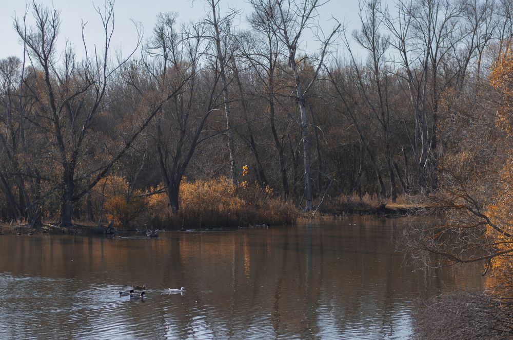 Photograph by Елена Косинова