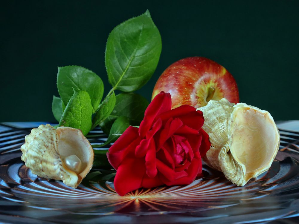 Photograph by Моложников Юрий