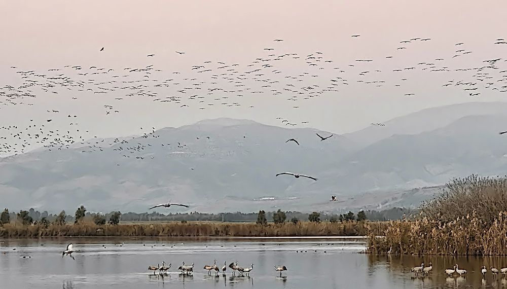 Photograph by Лев Левинсон