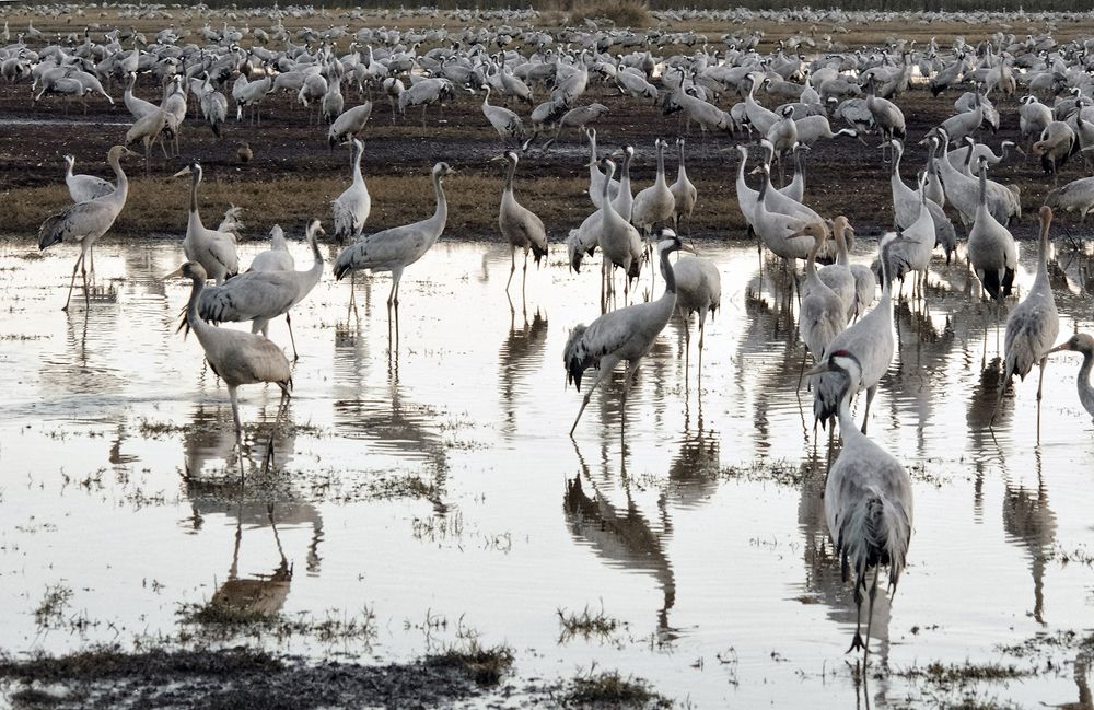 Photograph by Лев Левинсон