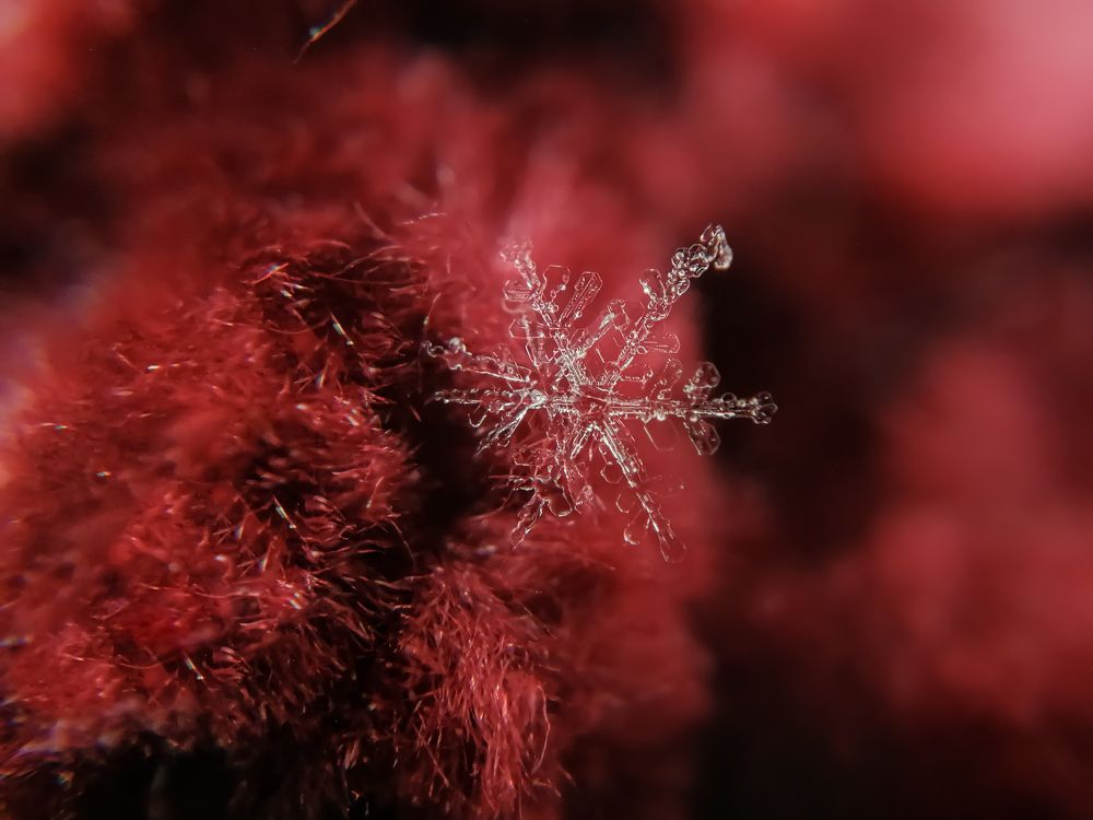 Photograph by Надежда Алешечкина