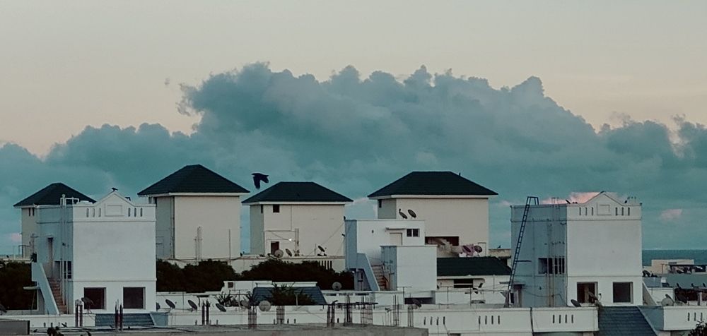 Photograph by Elena Chandran