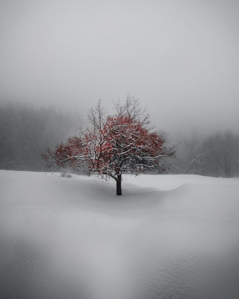 Photograph by Ислам Мирсаитов