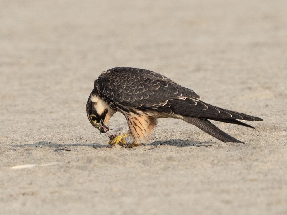 Photograph by Satirtha Ghosh