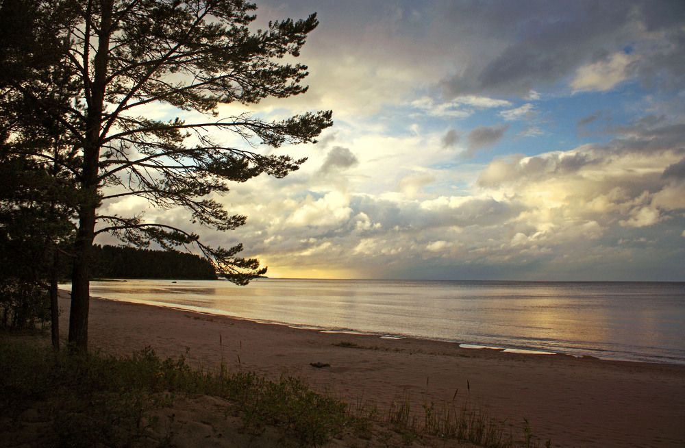 Photograph by Ирина Румянцева