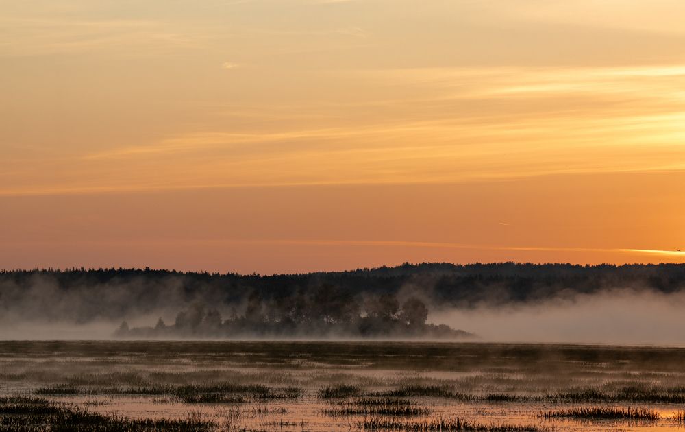 Photograph by Валерий Шорохов