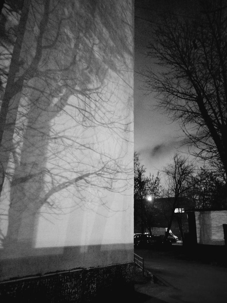 Photograph by Зоя Кулько