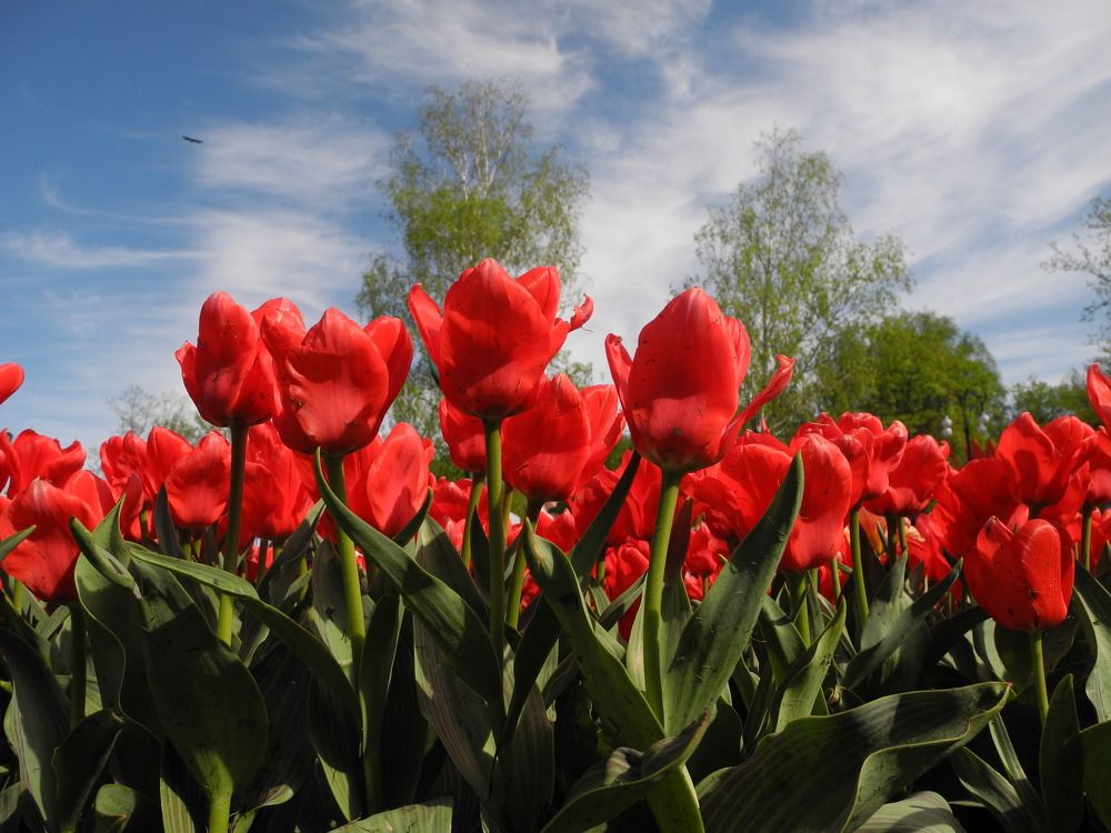 Photograph by Андрей Головин